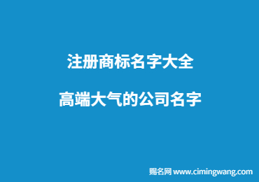 注冊商標名字大全 高端大氣的公司名字