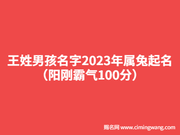 王姓男孩名字2023年屬兔起名（陽剛霸氣100分）