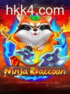 NinjaRaccoon
